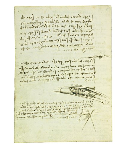 Codex on the Flight of Birds, Folio 6 Verso by Leonardo da Vinci